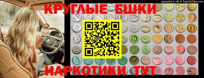 СК Ярославль