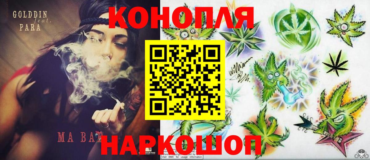 Канабис сатива Сафоново